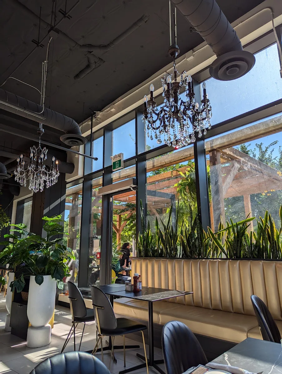 Vibe, Huevos Gourmet