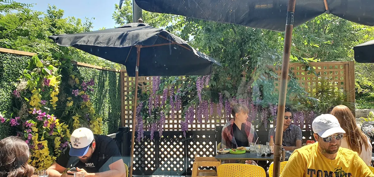 Vibe, Huevos Gourmet