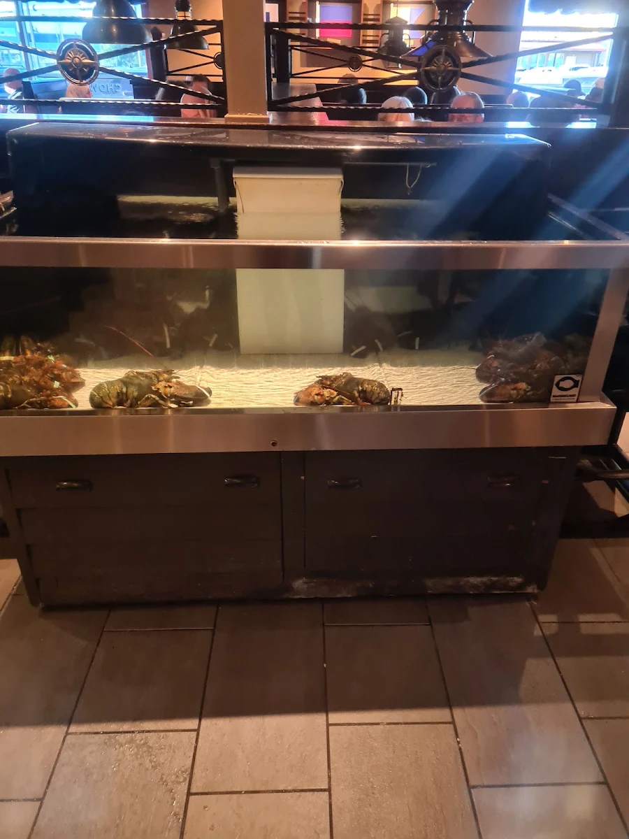 Vibe, Red Lobster