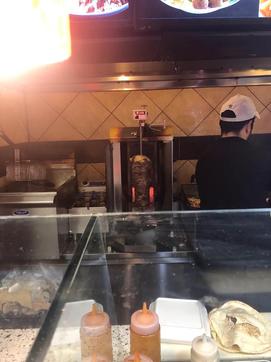 Vibe, Shawarma Max