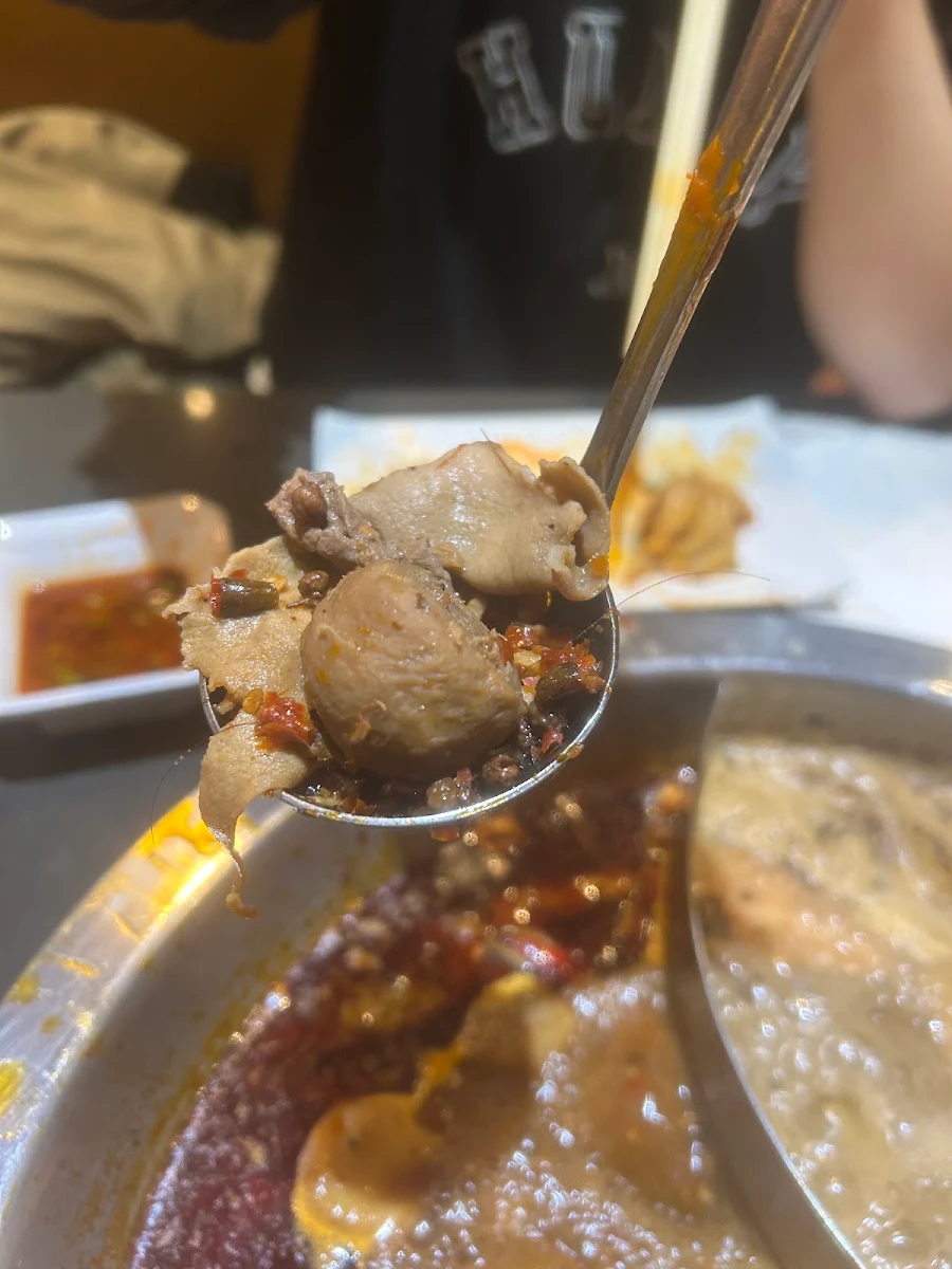 Food & drink photo 10