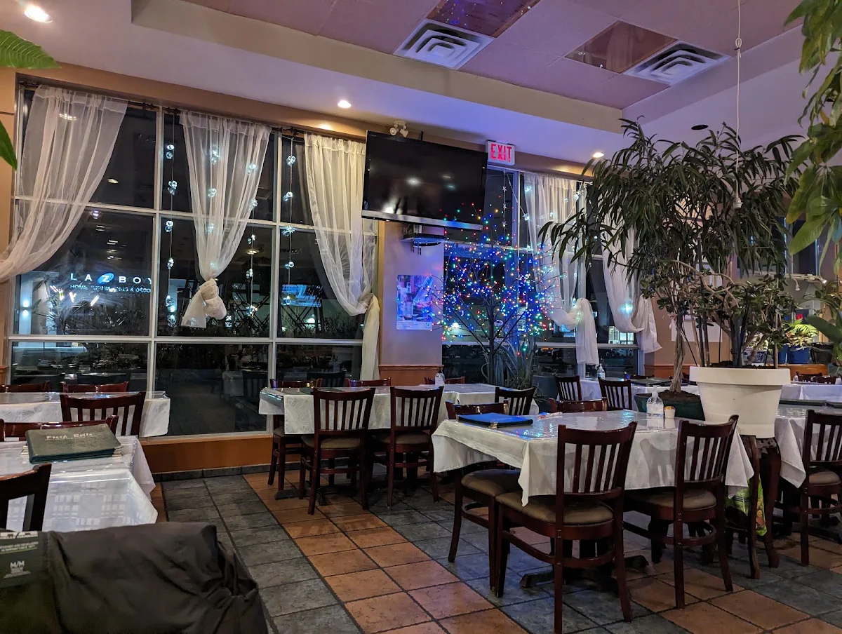 Vibe, Fresh Rolls Restaurant