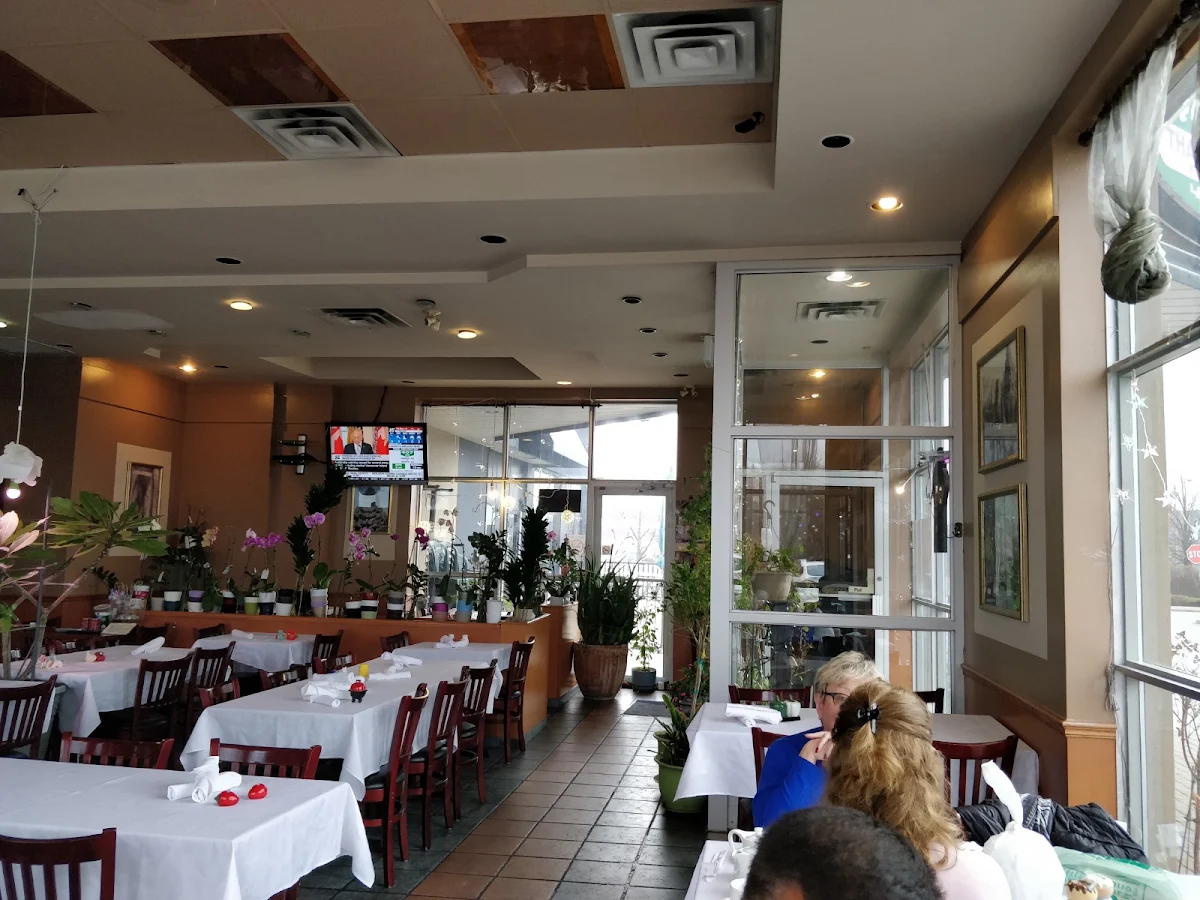 Vibe, Fresh Rolls Restaurant