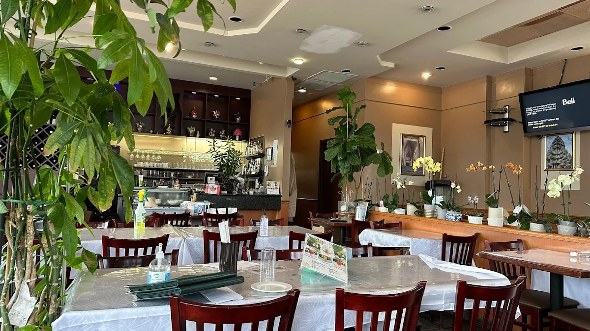 Vibe, Fresh Rolls Restaurant