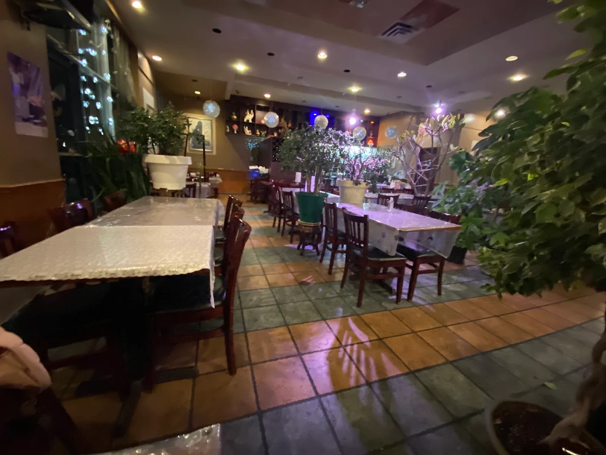 Vibe, Fresh Rolls Restaurant