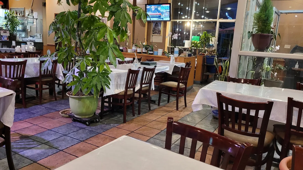 Vibe, Fresh Rolls Restaurant