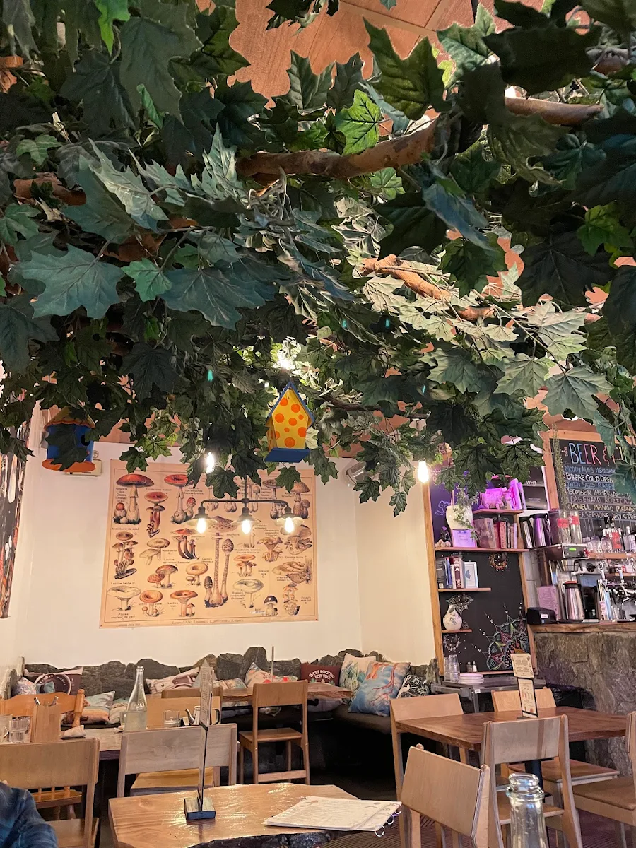 Vibe, Chickpea Restaurant