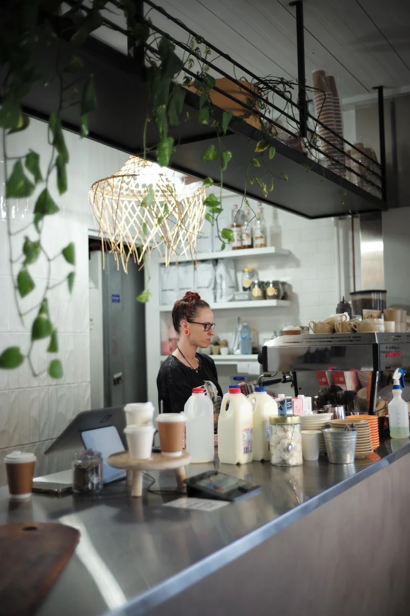 Vibe, M & O Cafe