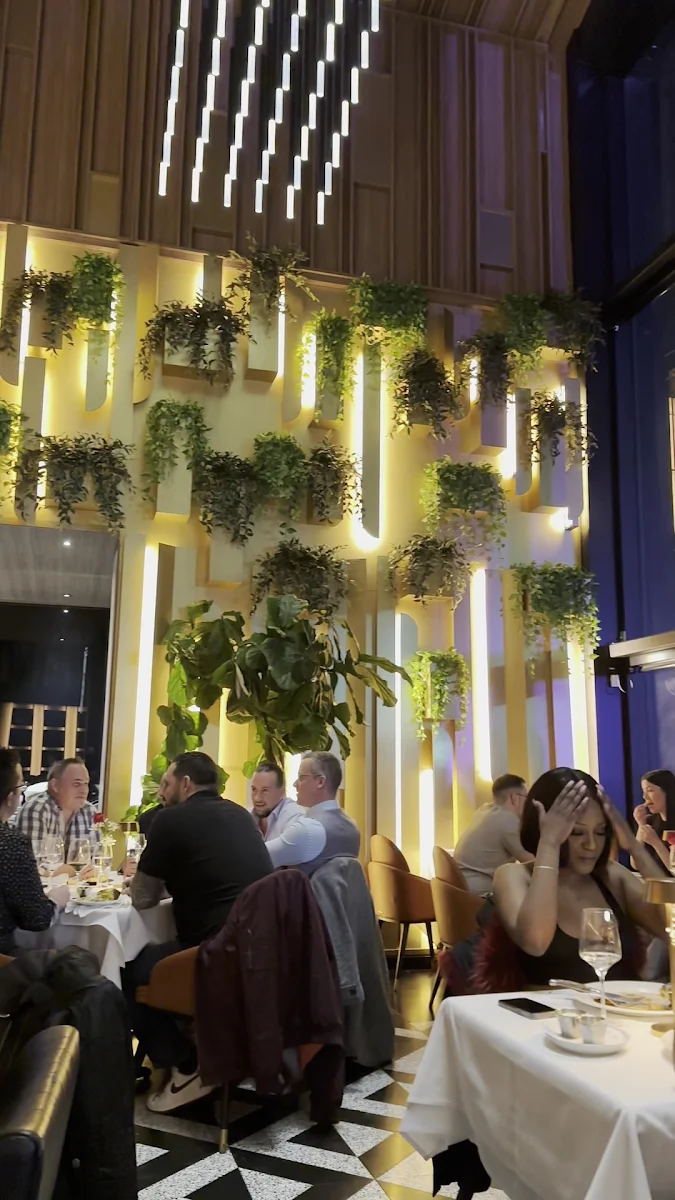 Vibe, Mirela's Steakhouse and Cigar Lounge