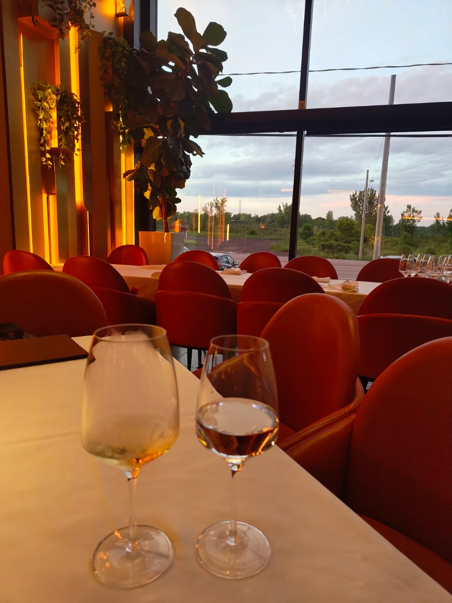 Vibe, Mirela's Steakhouse and Cigar Lounge