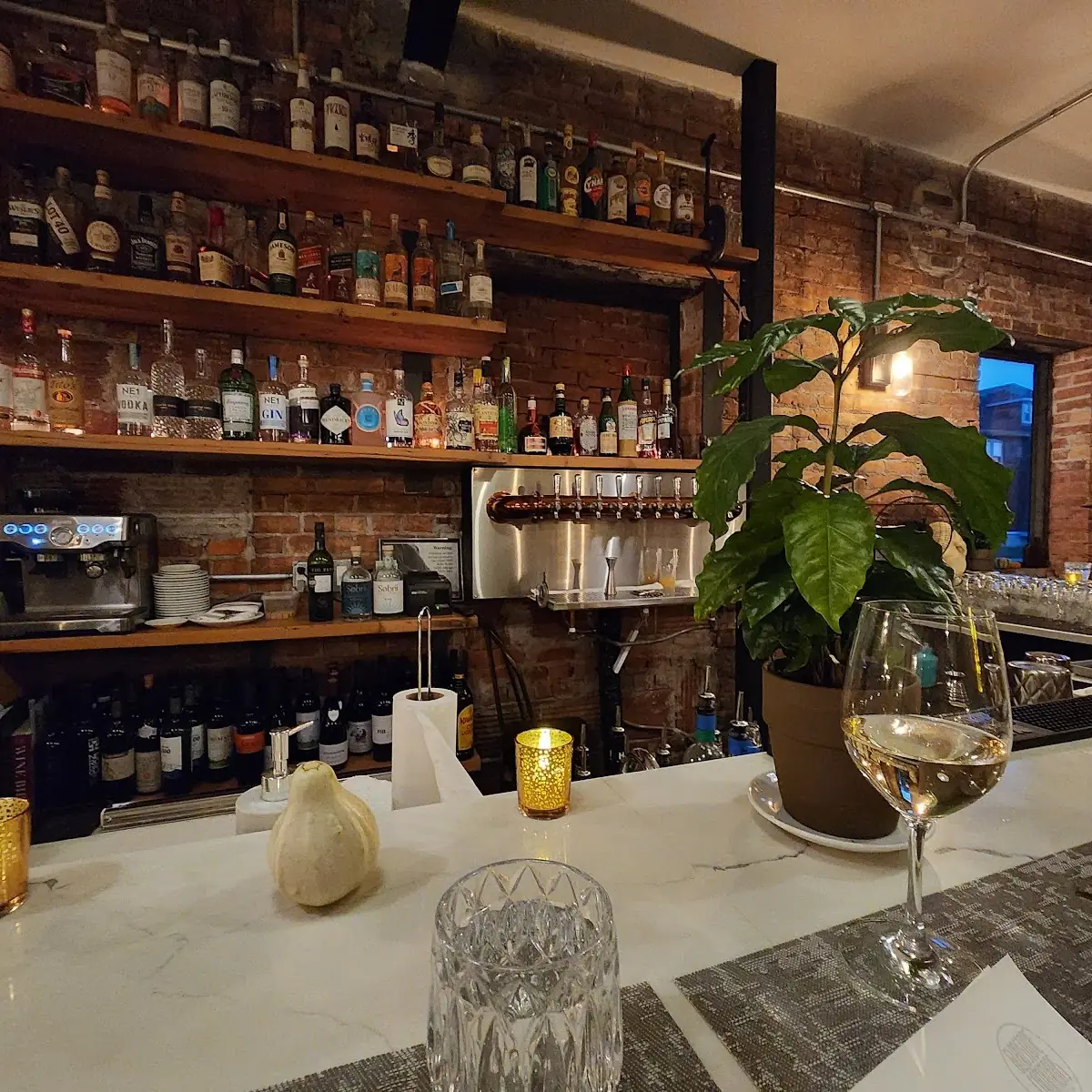 Vibe, Gladstone Commons