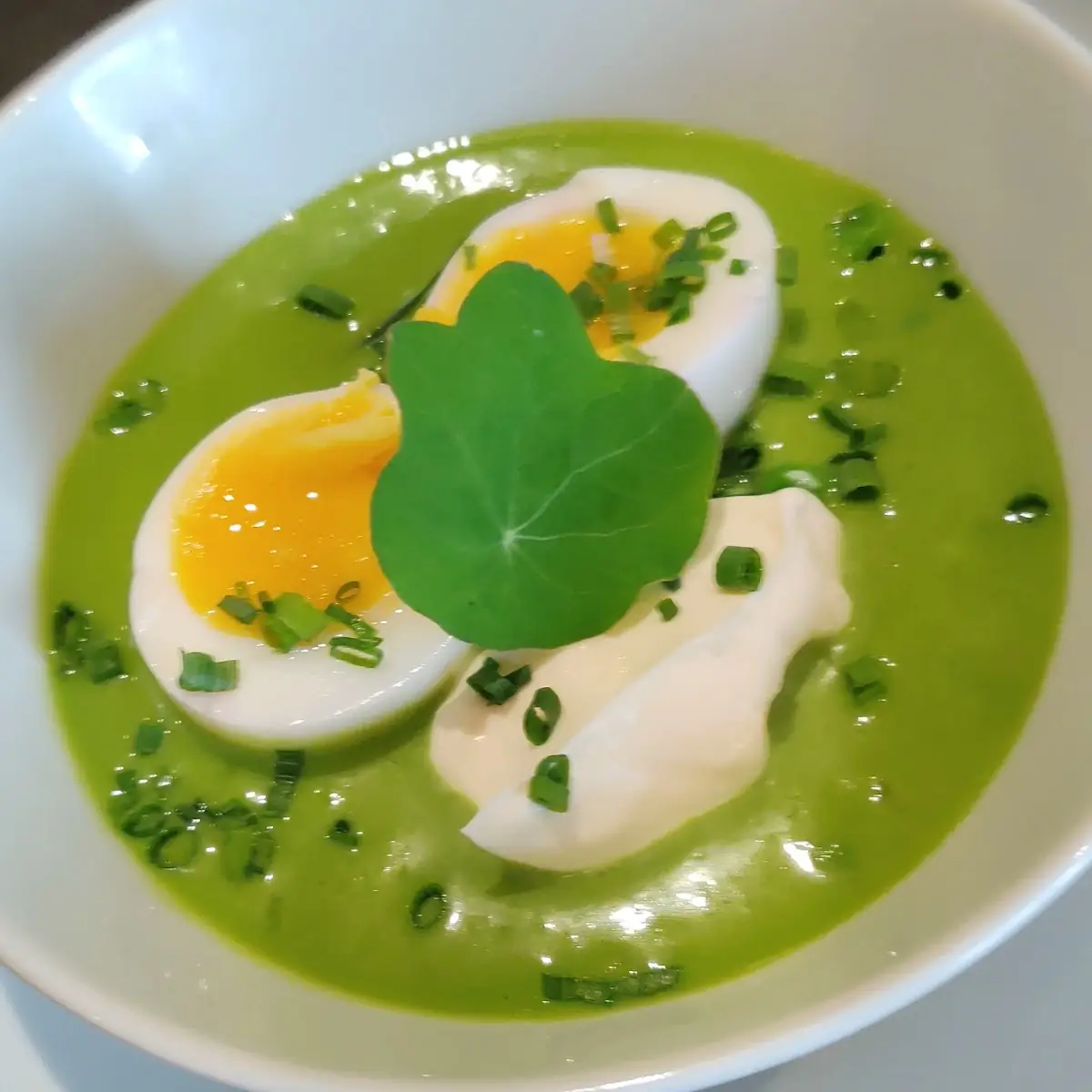 Food & drink, Treadwell Cuisine