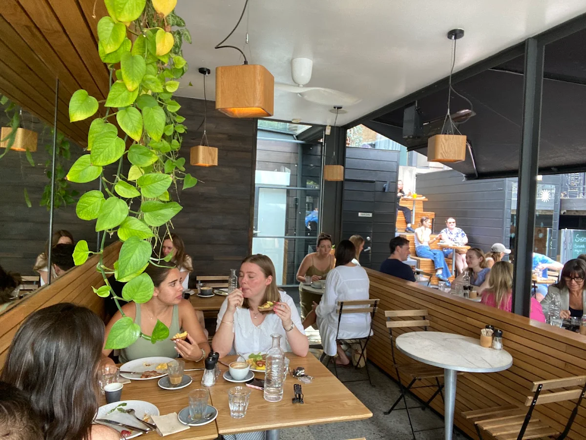Vibe, Jackies Cafe