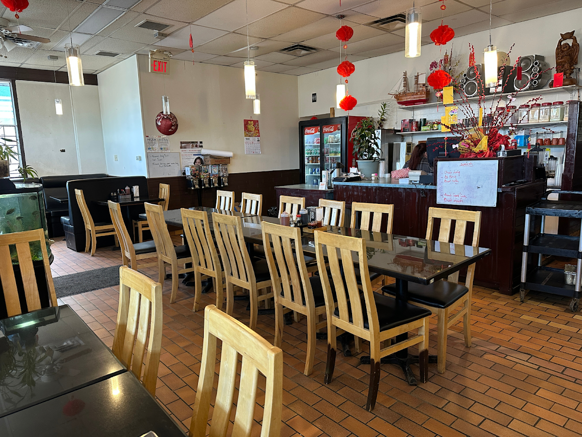 Vibe, Pho V