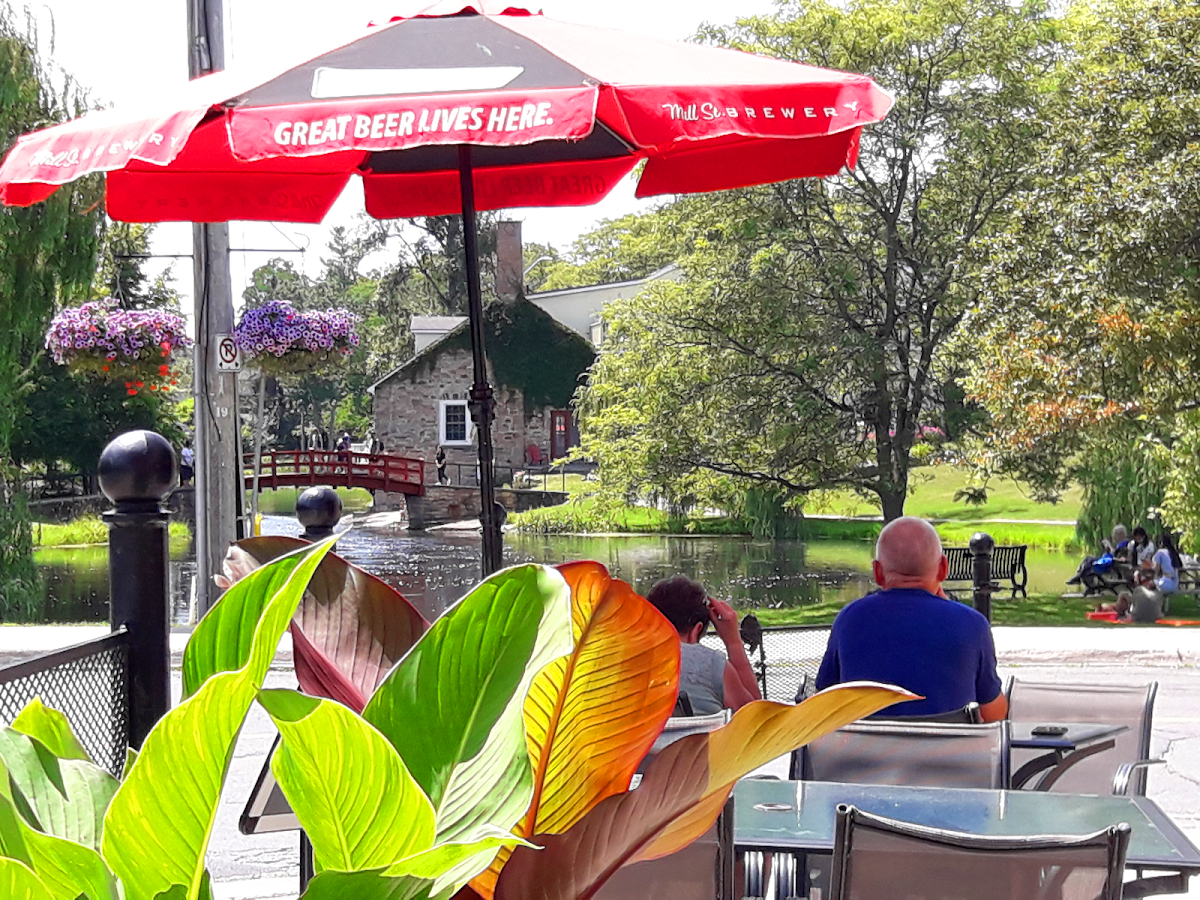 Vibe, Fiddleheads Bar and Grill