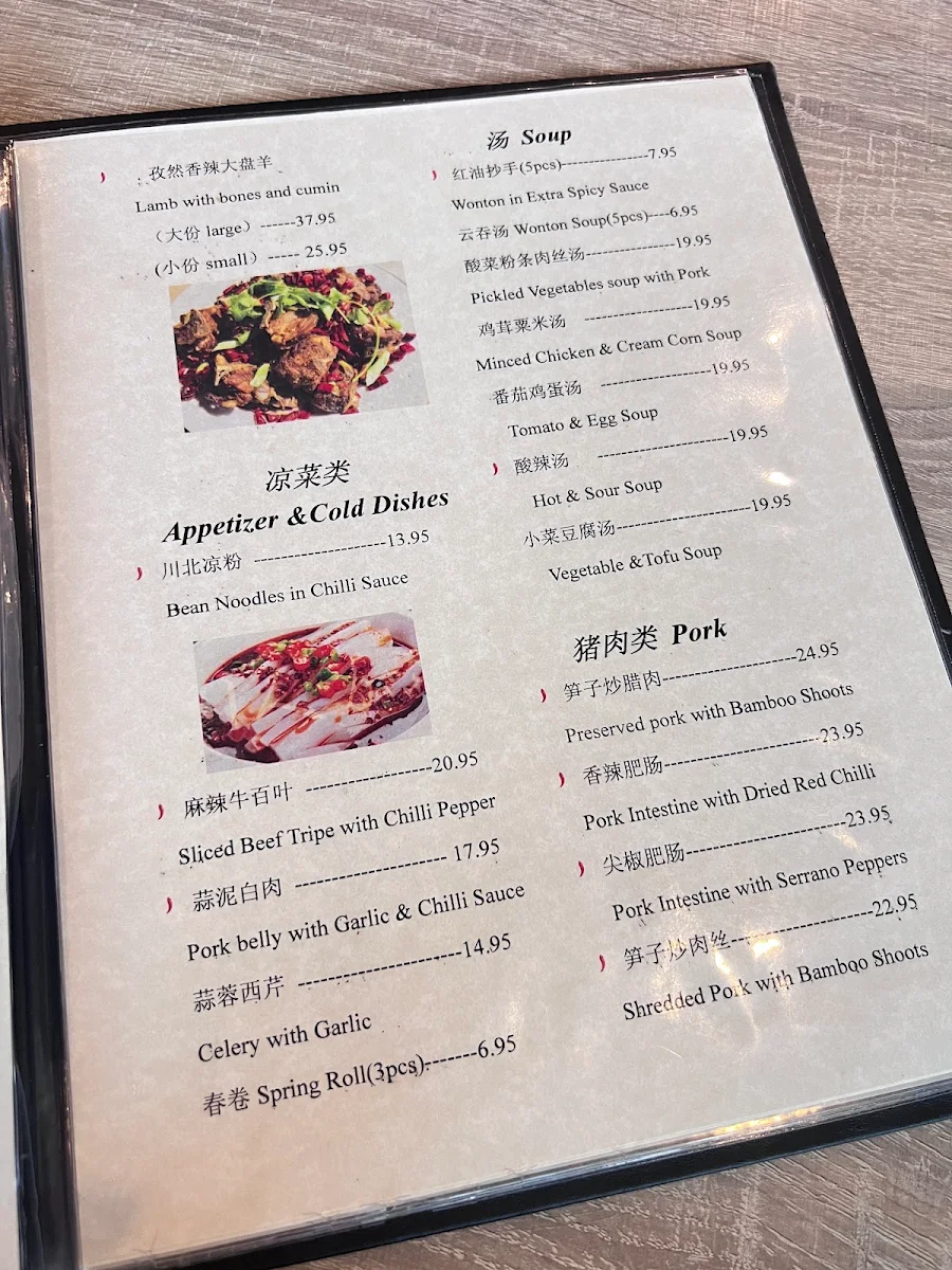 Menu, 味道重庆Don Asian Kitchen