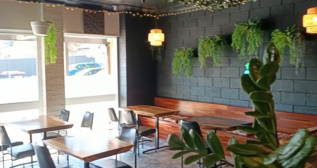 Vibe, Kingdom Sushi Bar Springwood