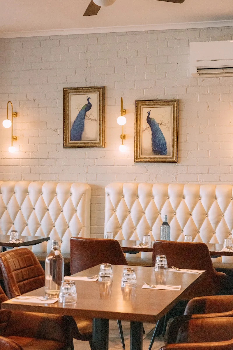 Vibe, Chilli India Preston