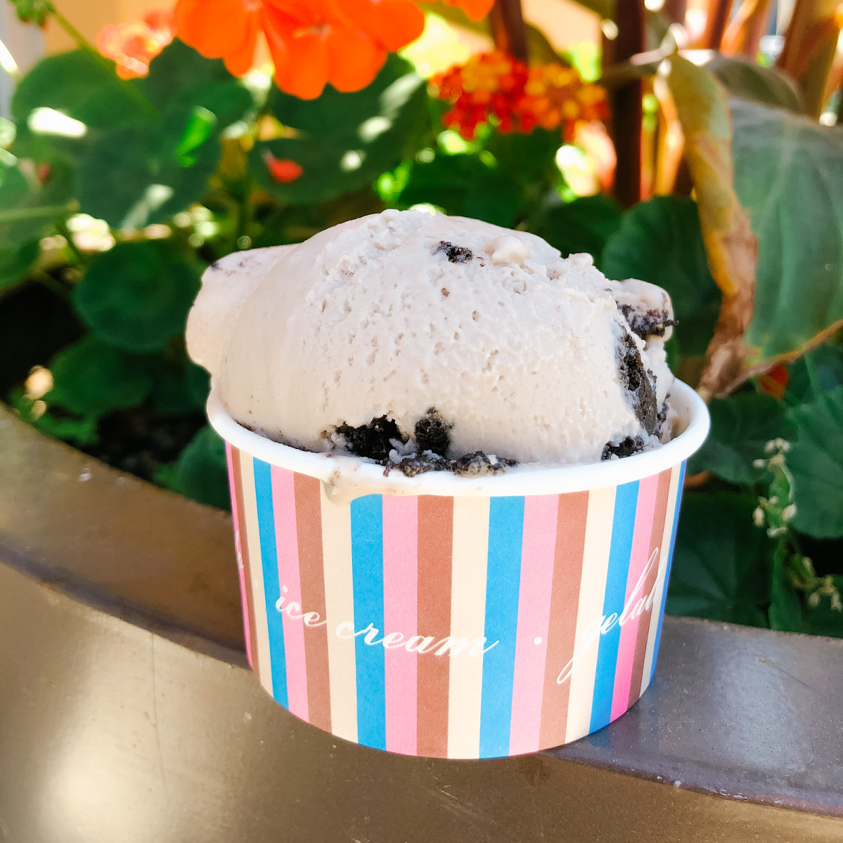 Food & drink photo 9