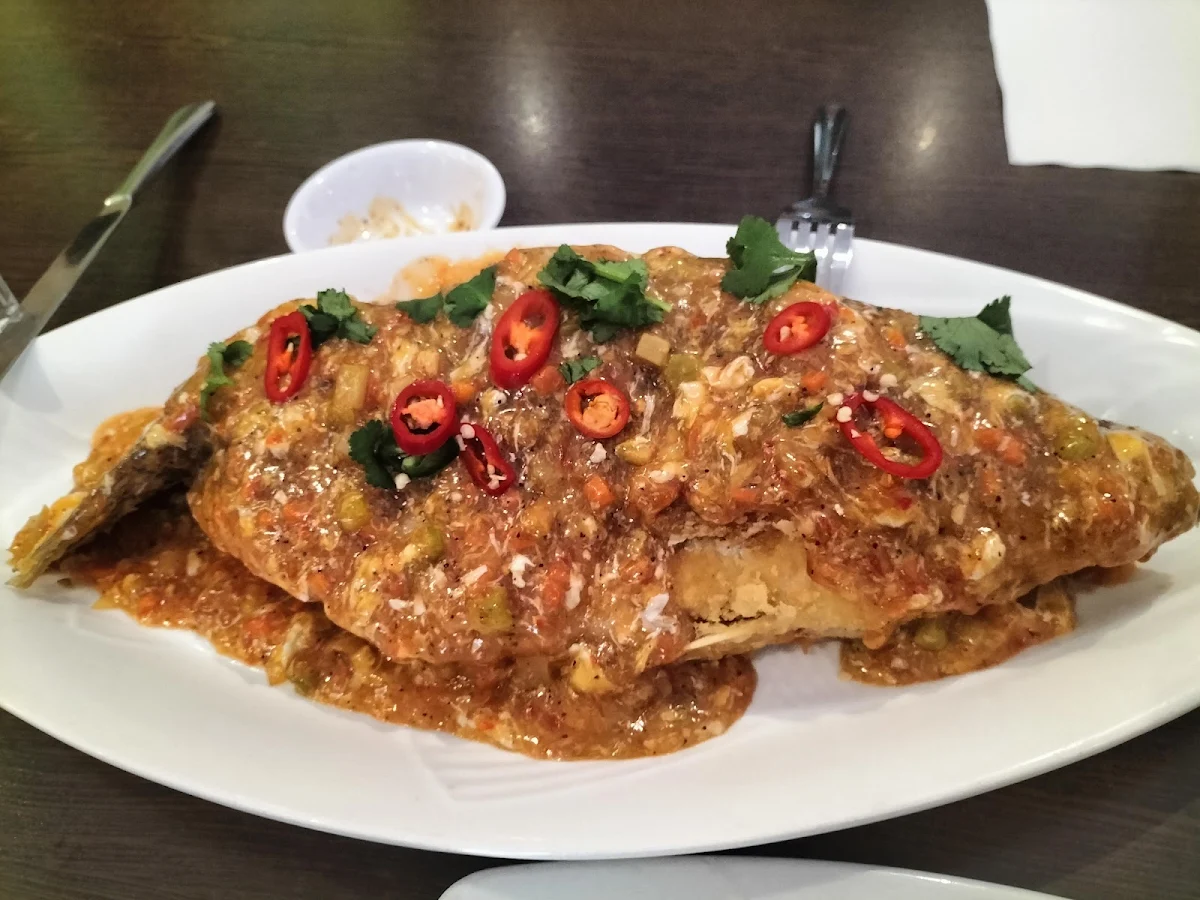 Food & drink, Green Bamboo