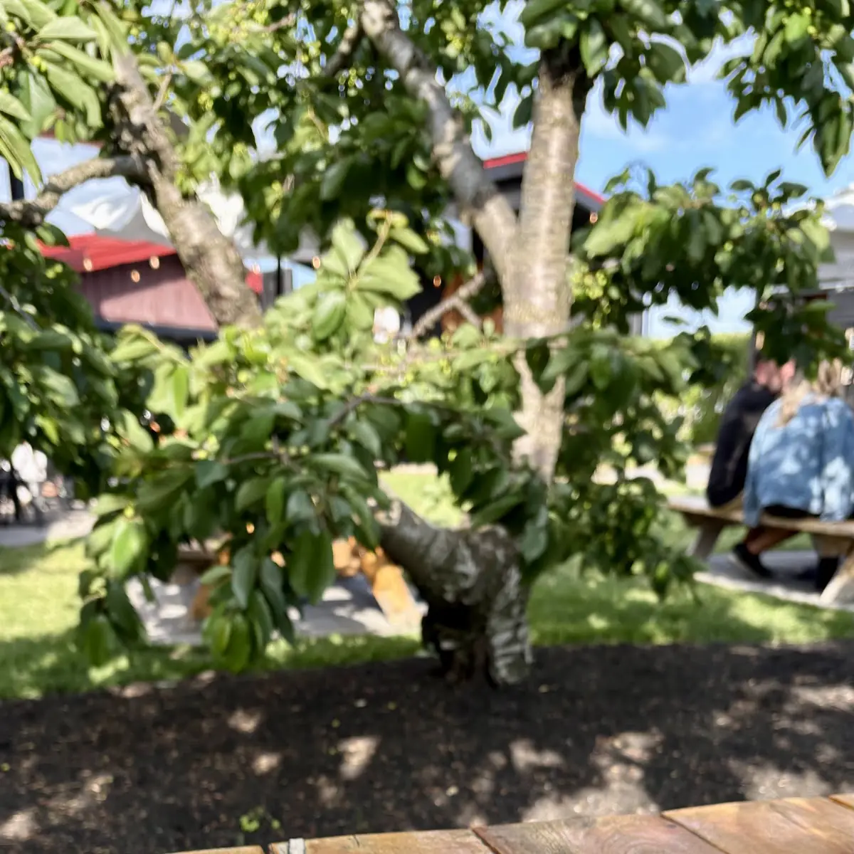 Food & drink, BarrelHead