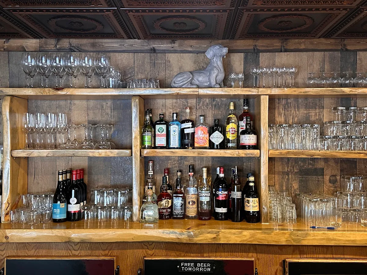 Vibe, The Flealess Hound Pub