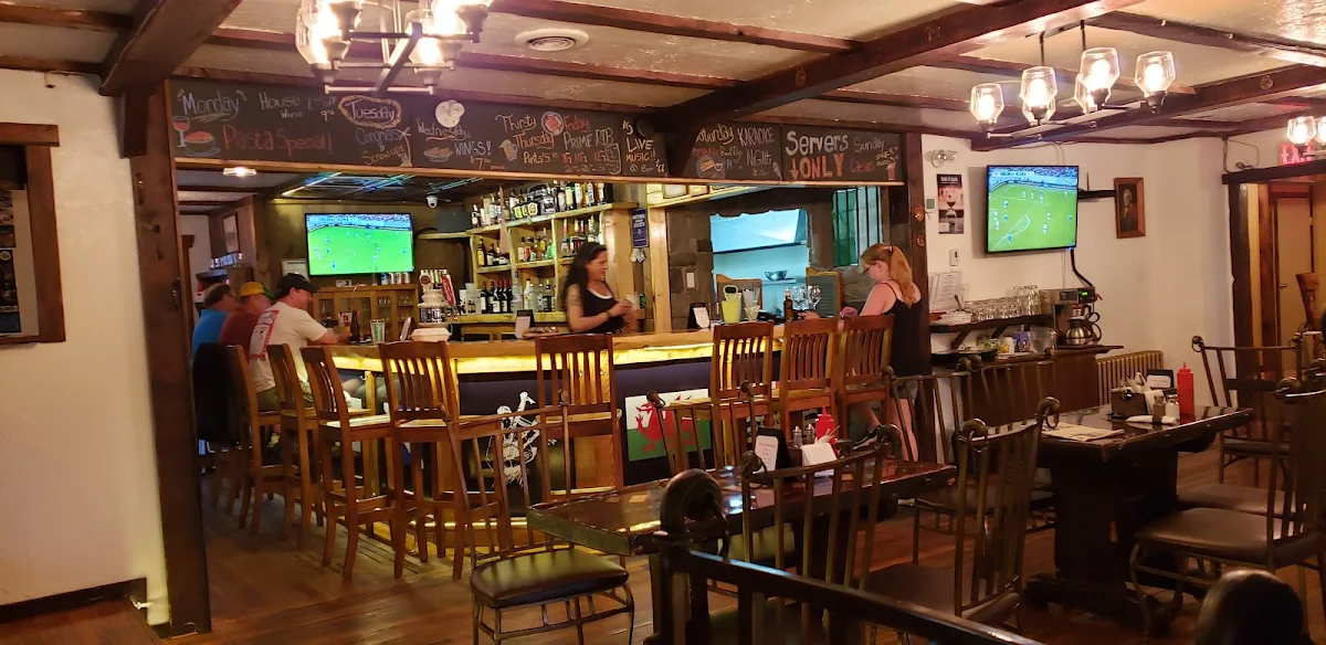Vibe, The Flealess Hound Pub