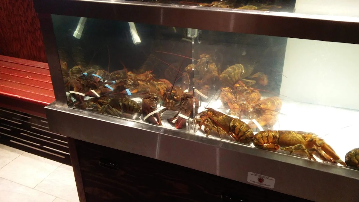 Vibe, Red Lobster