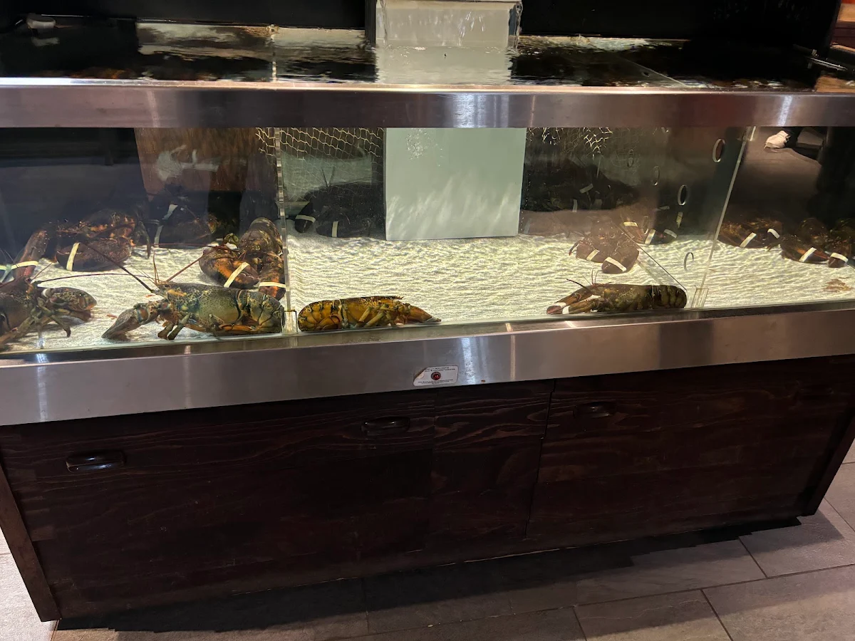 Vibe, Red Lobster