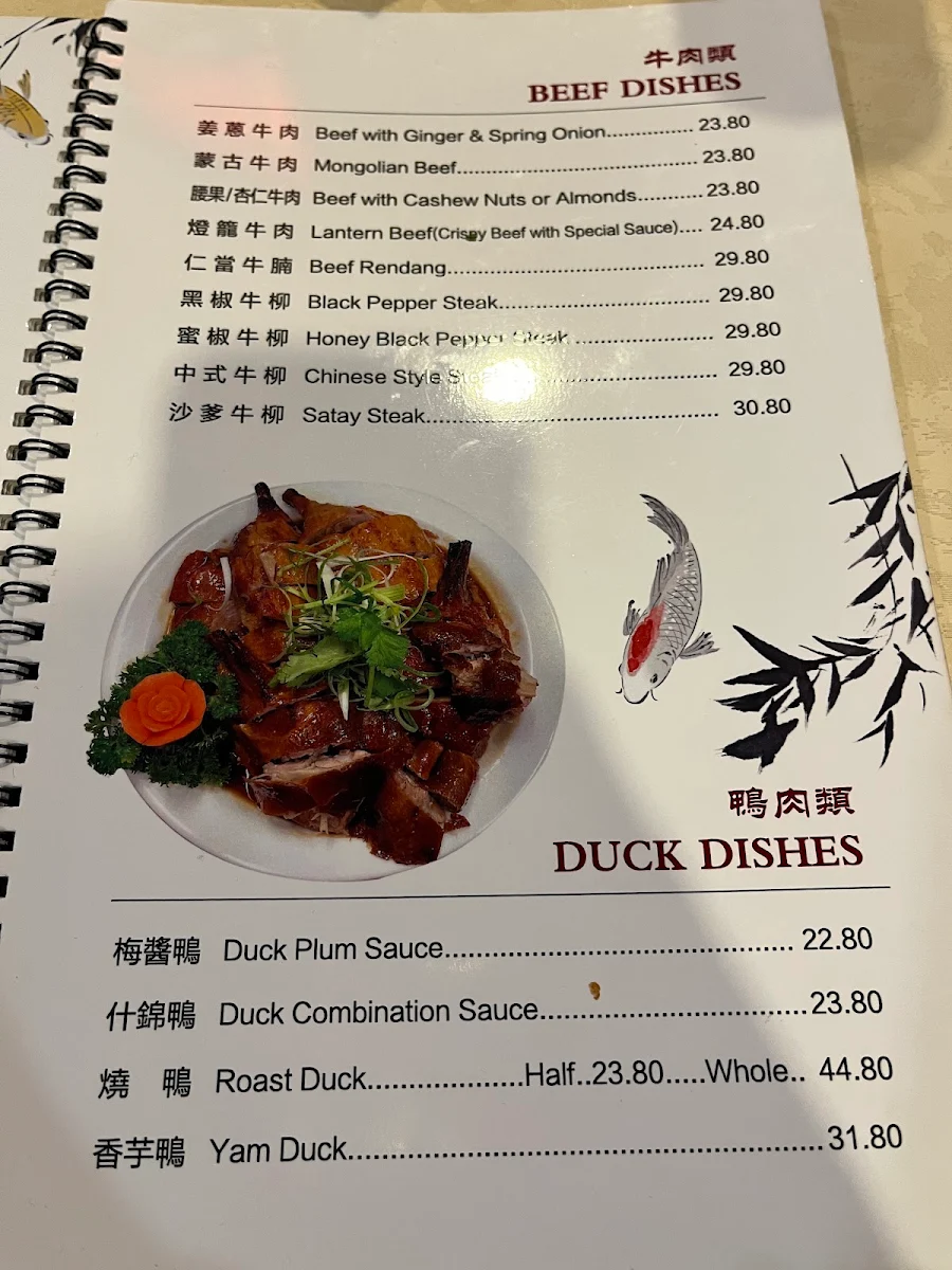Menu, Somerville Chinese Restaurant,