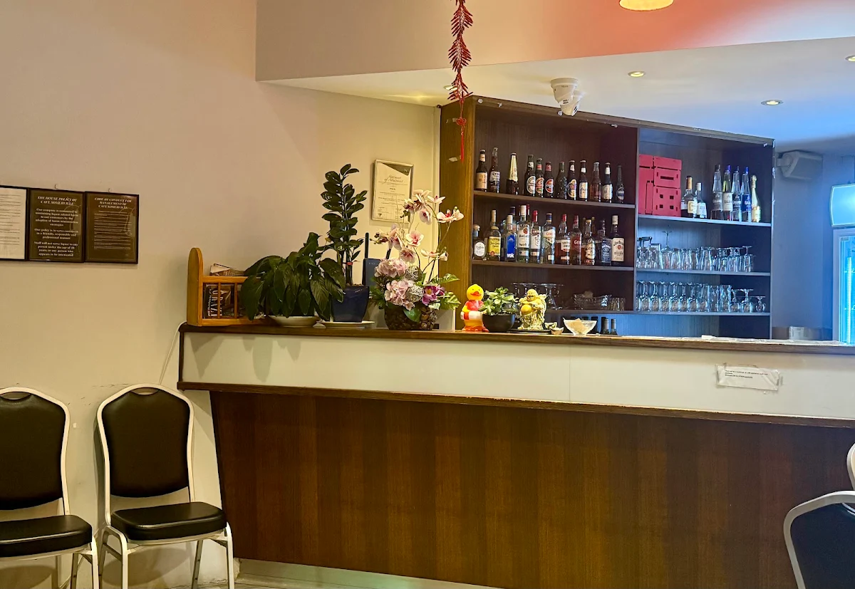 Vibe, Somerville Chinese Restaurant,