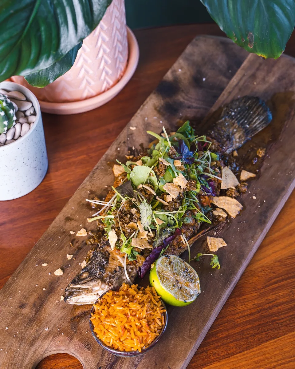 Food & drink, Hotel Royal Torrensville