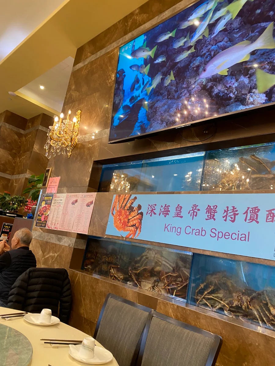 Vibe, New Mandarin Seafood Restaurant