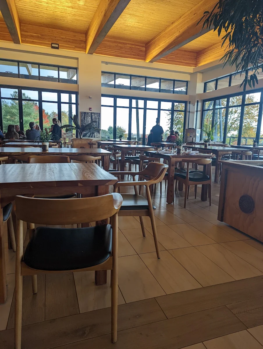 Vibe, KALOS Restaurant
