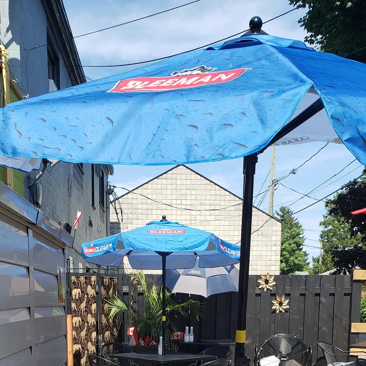 Vibe, Sandy's Riverside Grill