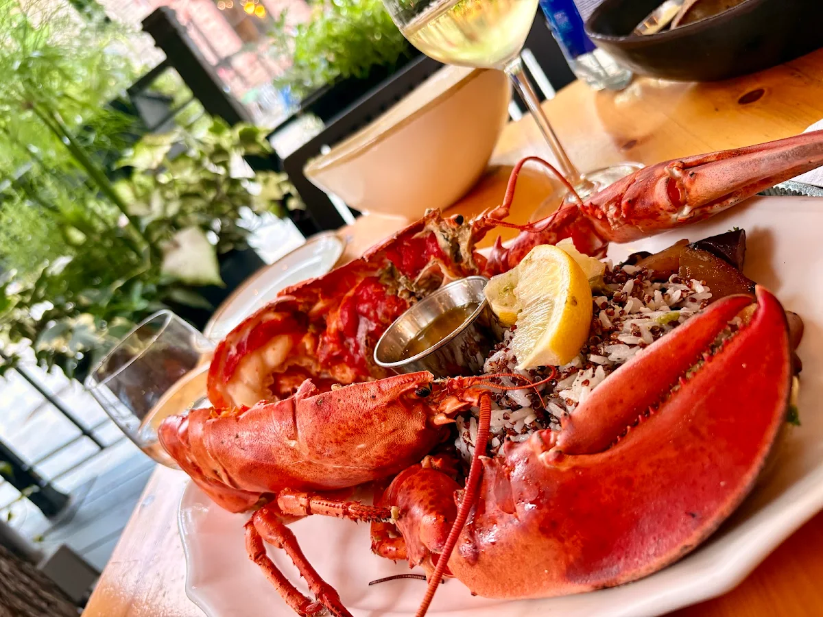 Food & drink photo 4