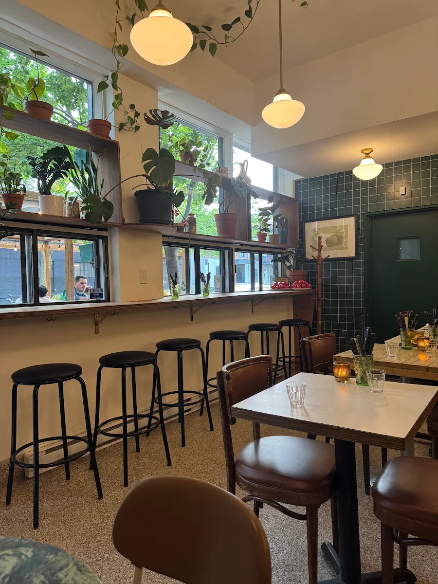 Vibe, Pan Américan Pizza