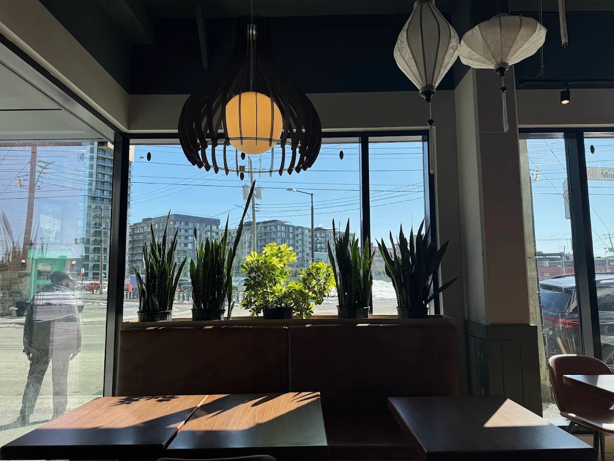 Vibe, Restaurant Ozen