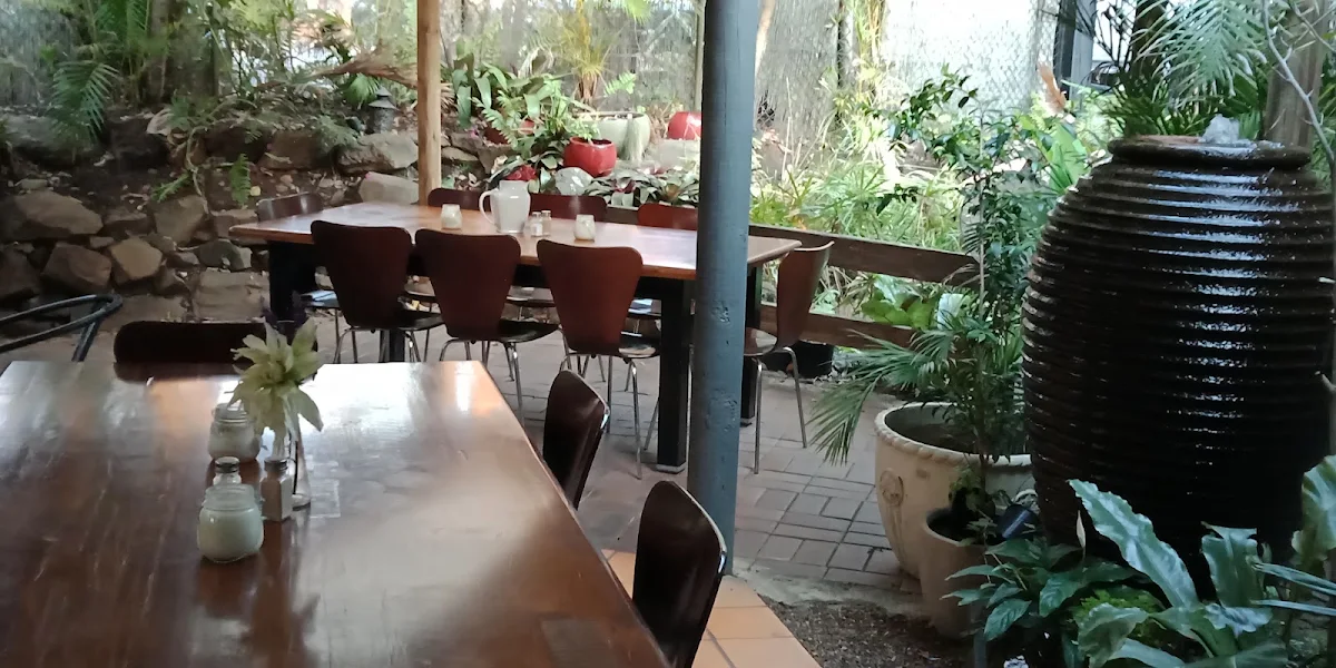 Vibe, Froggies Rest