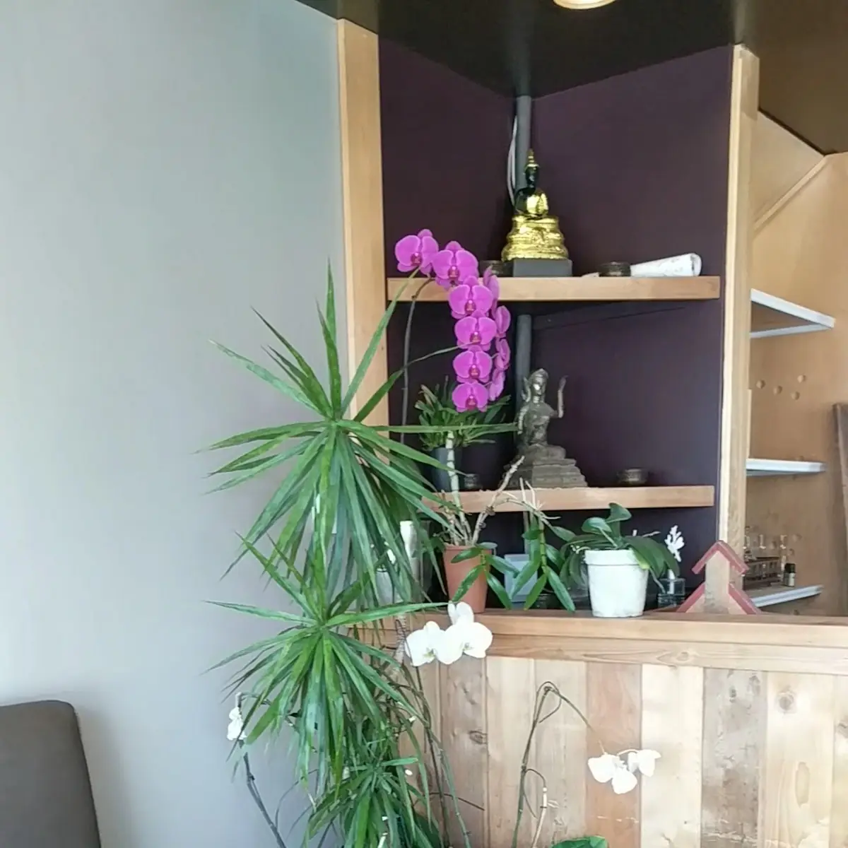 Vibe, Thai-Isaan Cuisine and Café