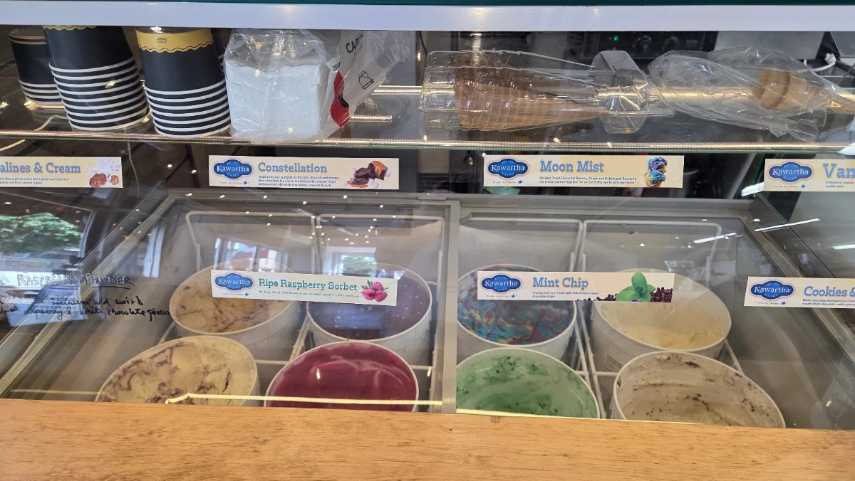 Vibe, Blended Beverage Bar
