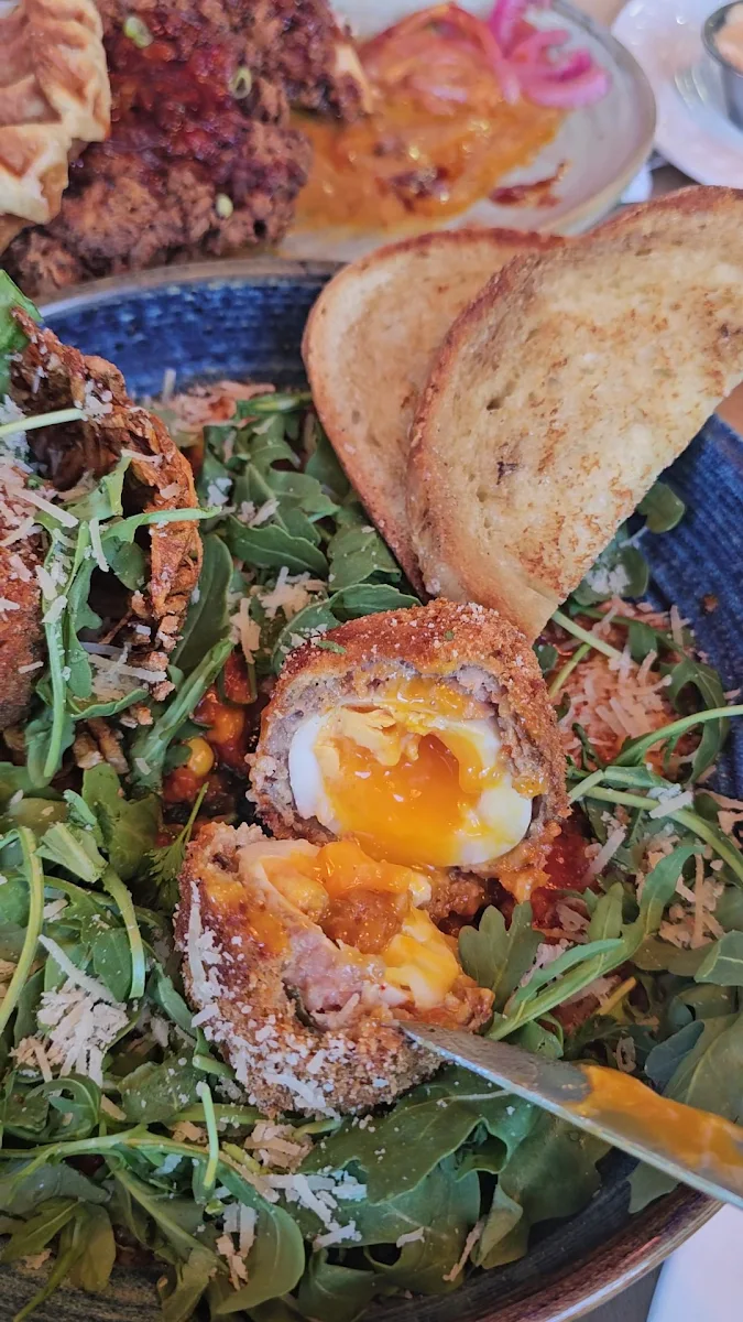Food & drink photo 8