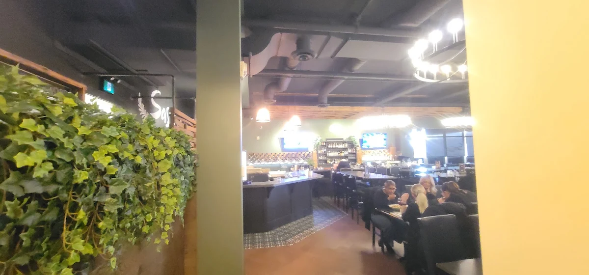 Vibe, Sasso Pizza Market & Bar