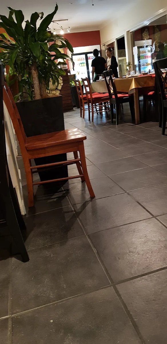Vibe, Hot Wok Thai