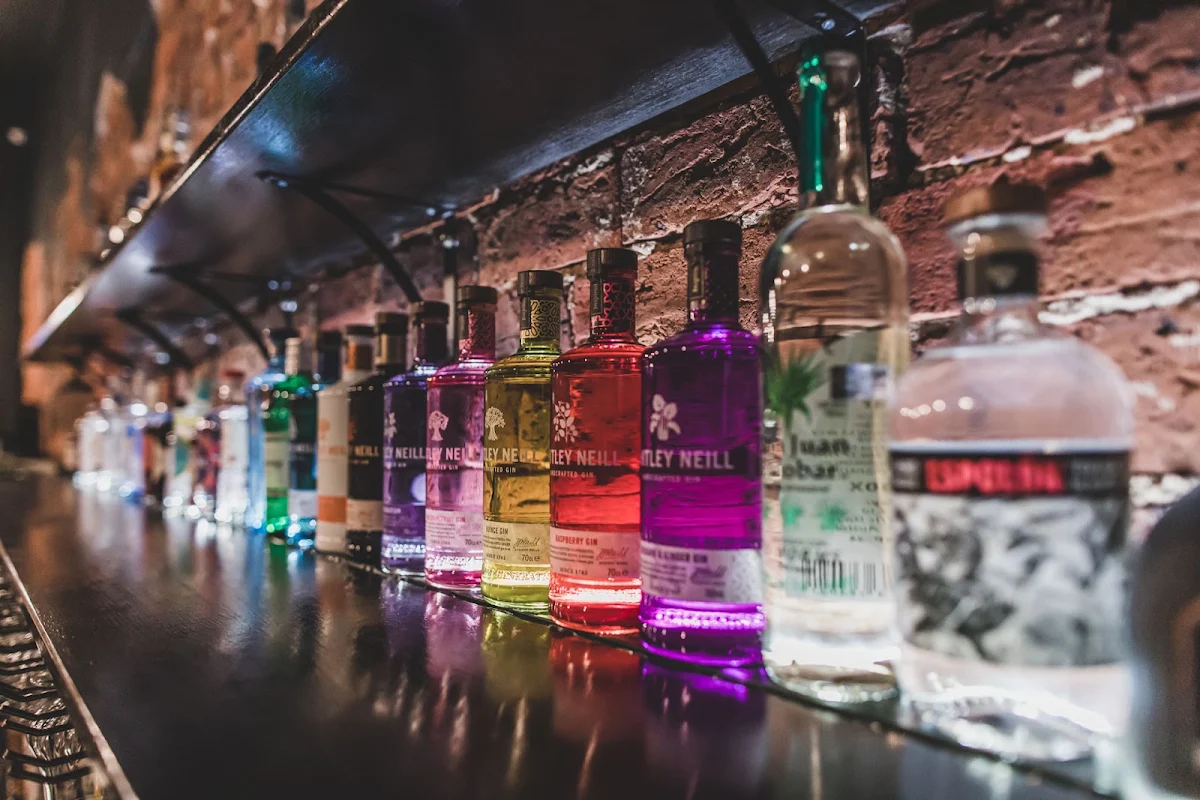 Vibe, Places Bar & Tapas