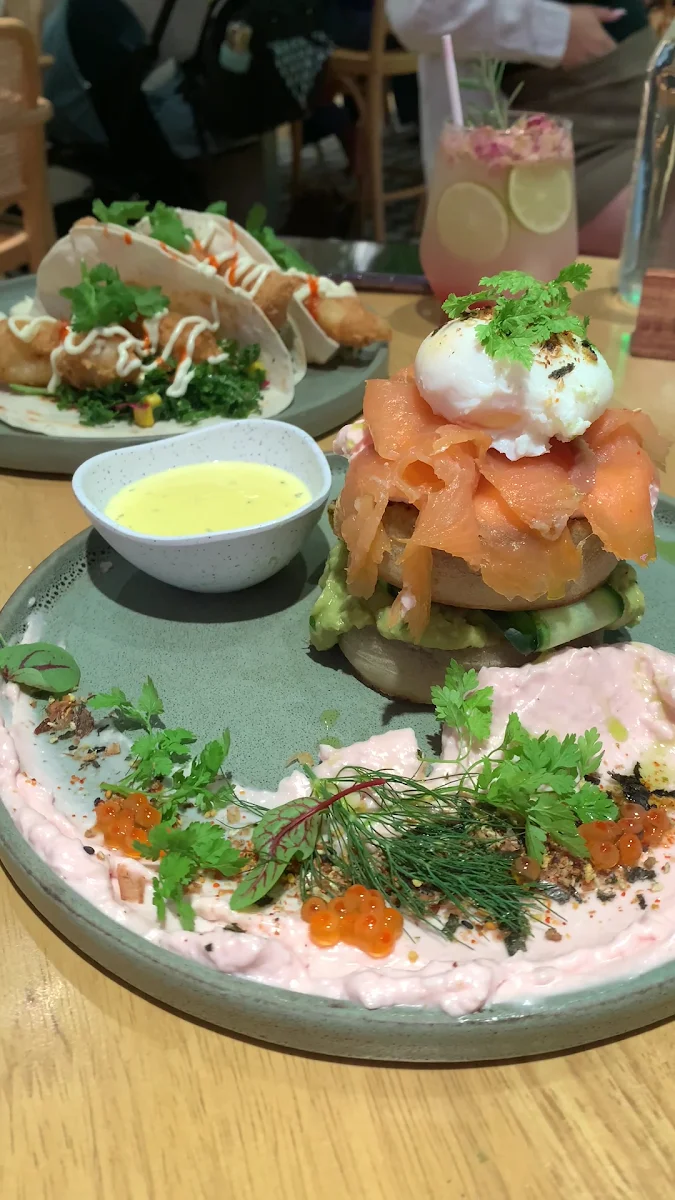 Food & drink, Urban Jungle Cafe