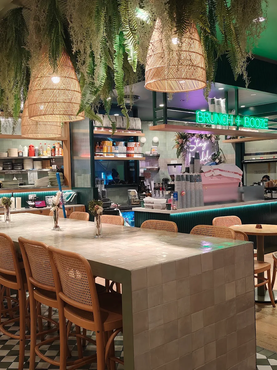 Vibe, Urban Jungle Cafe