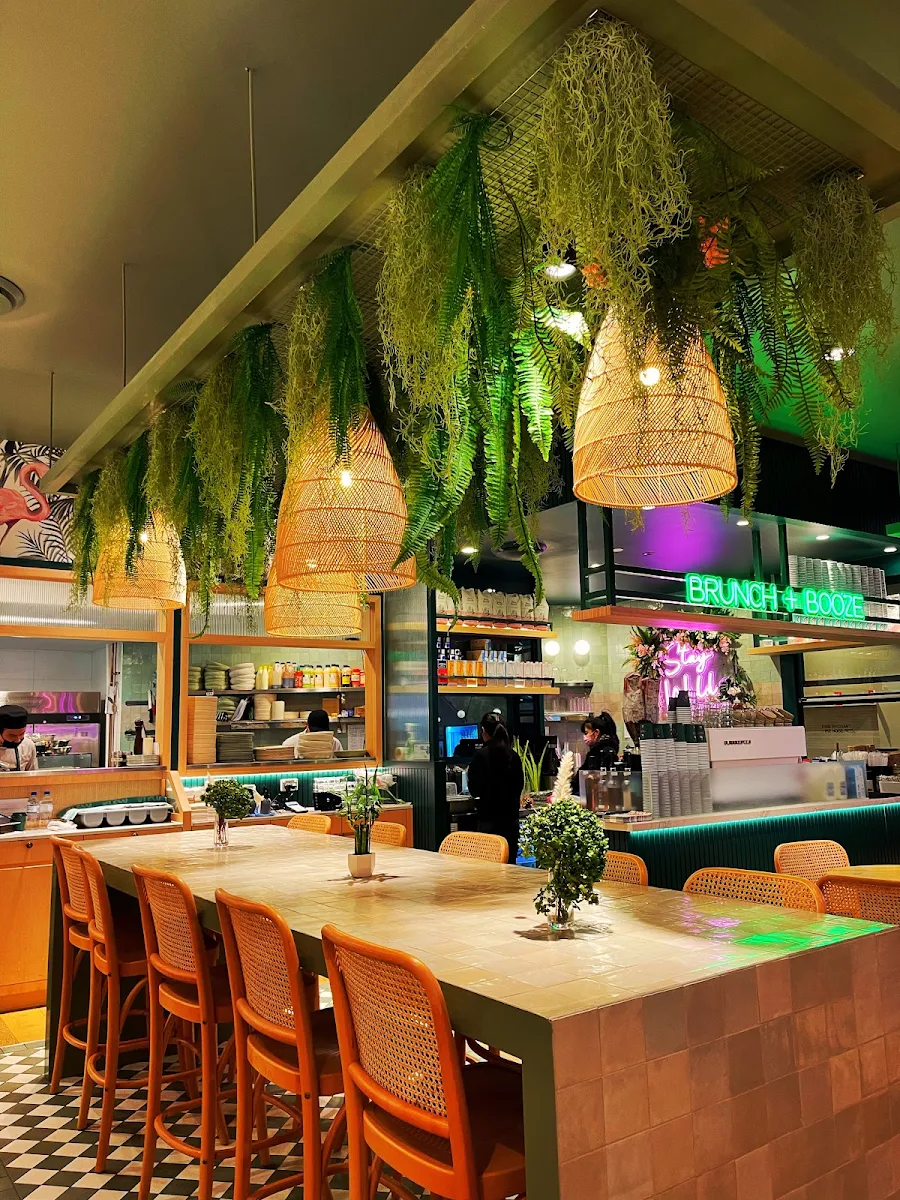 Vibe, Urban Jungle Cafe