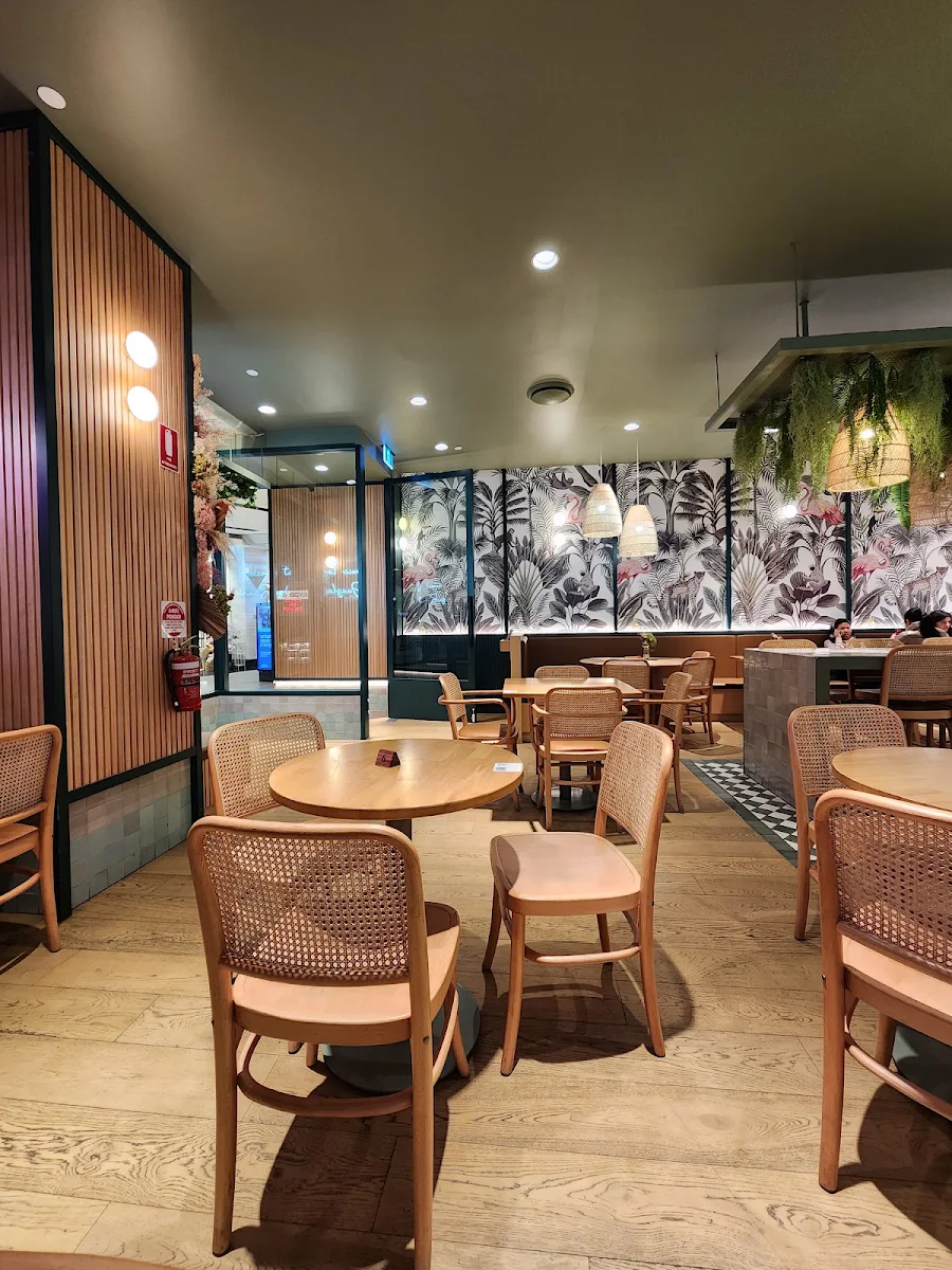Vibe, Urban Jungle Cafe