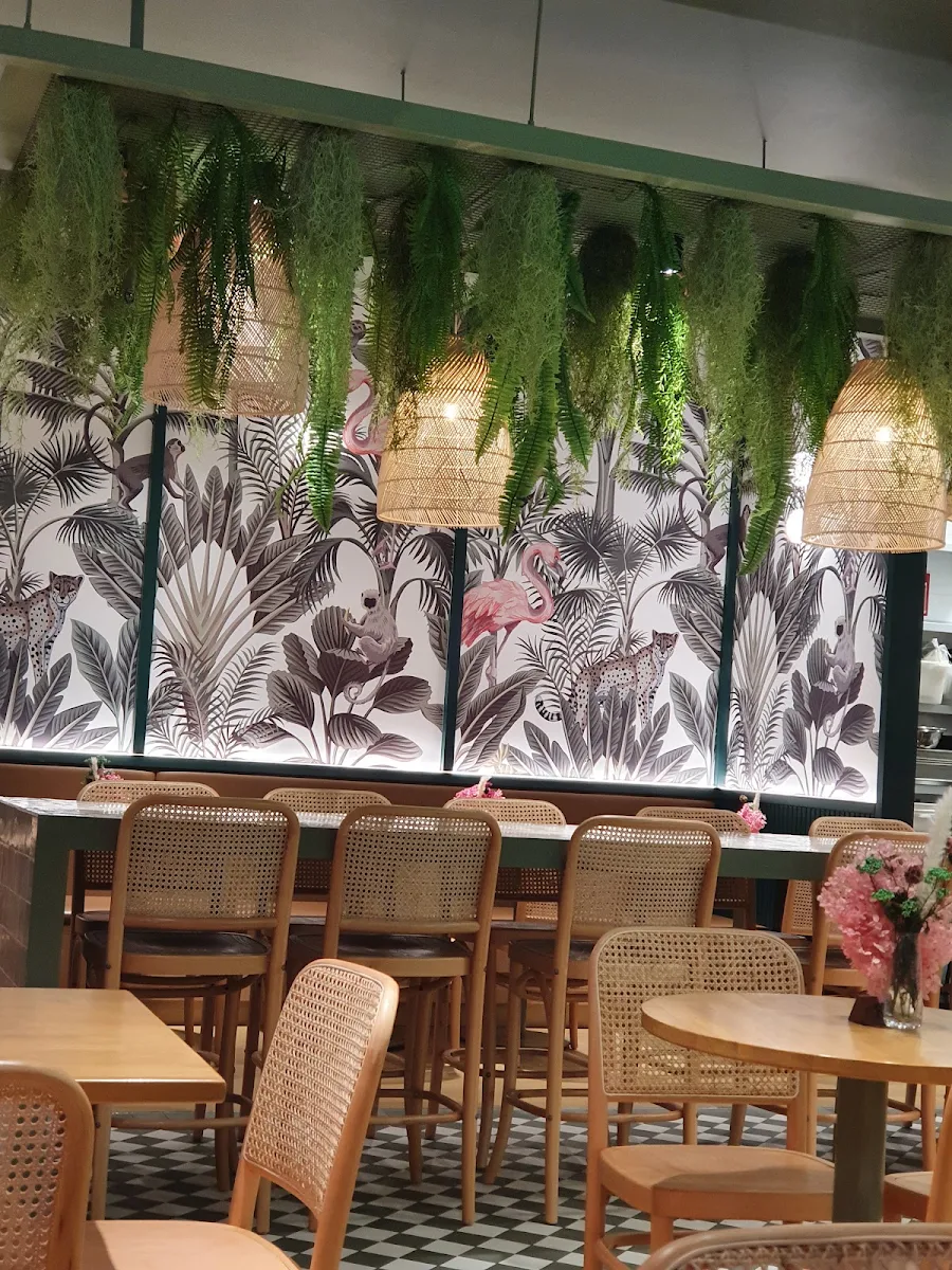 Vibe, Urban Jungle Cafe